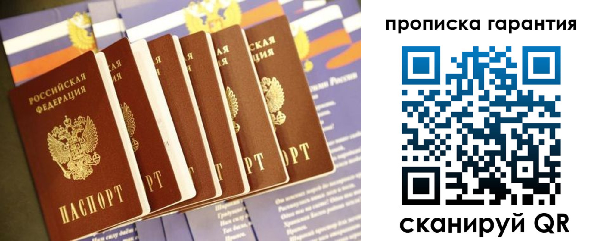 прописка поиск в Ржеве